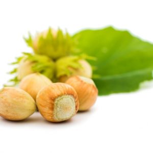 Haselnüsse Small „Erntefeucht“ 1 kg