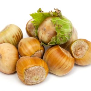 Haselnüsse Premium XL „Erntefeucht“ 1 kg